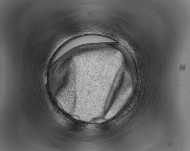 X0000099990060200806201500