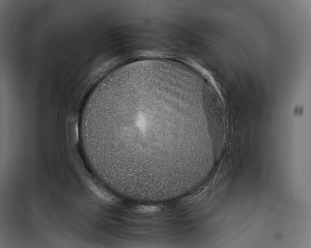 X0000099990061200806201500