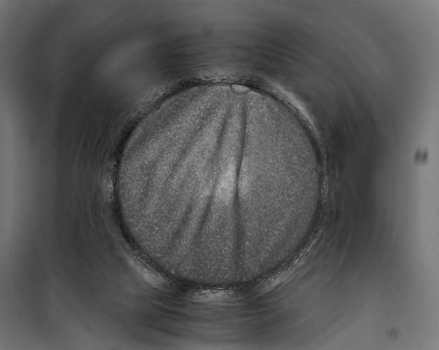 X0000099990065200806201500