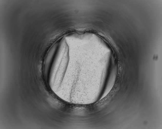 X0000099990066200806201500