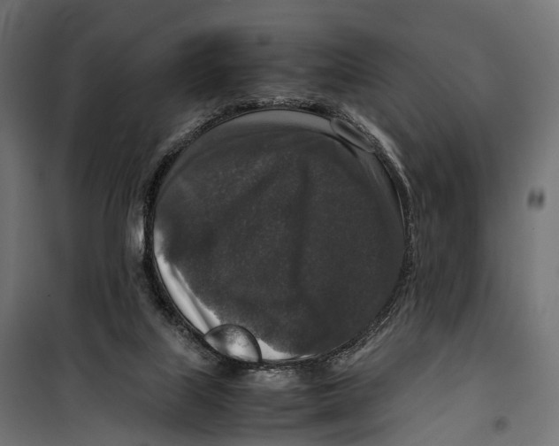 X0000099990067200806201500