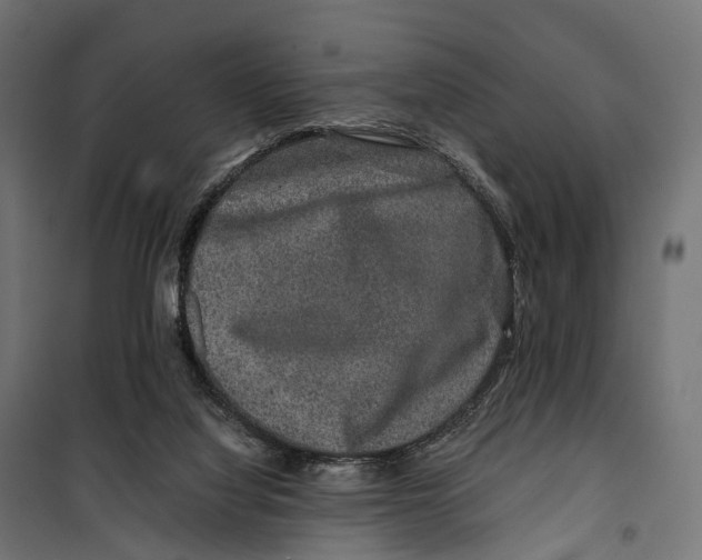 X0000099990068200806201500