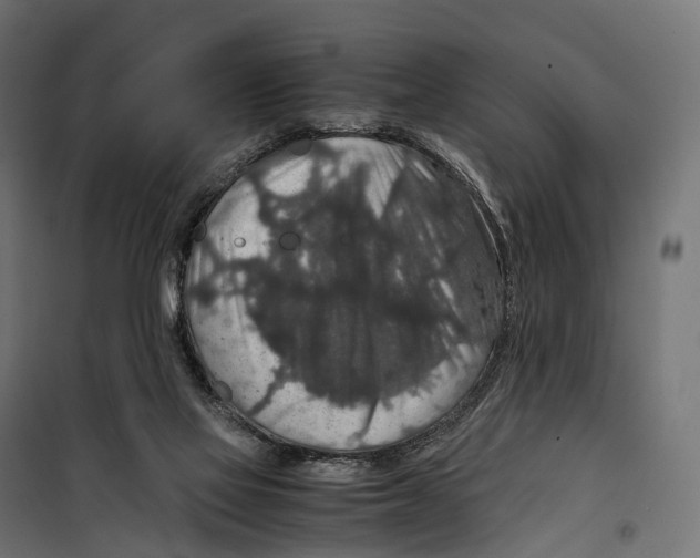 X0000099990069200806201500