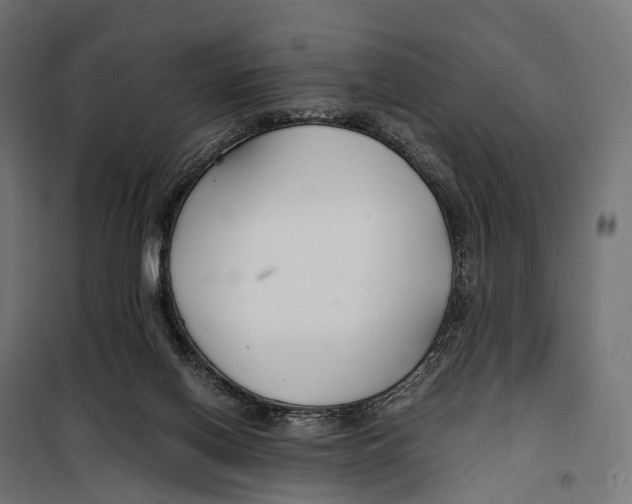 X0000099990070200806201500