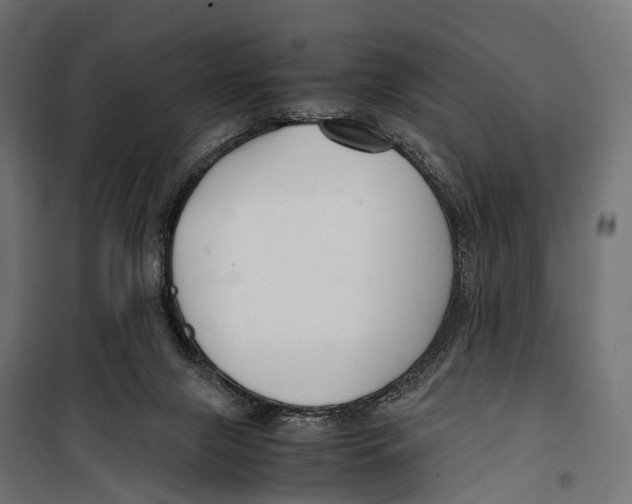 X0000099990071200806201500