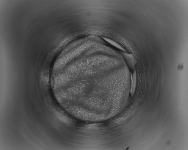 X0000099990072200806201500