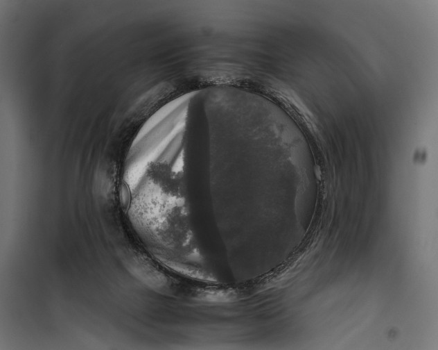 X0000099990073200806201500