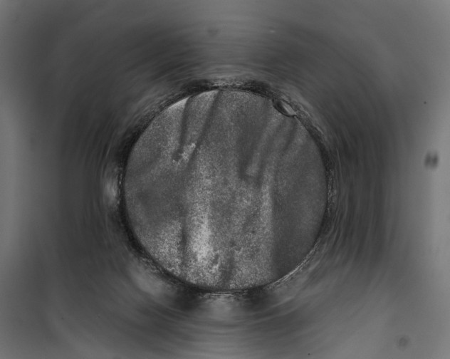 X0000099990074200806201500