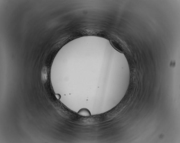 X0000099990075200806201500