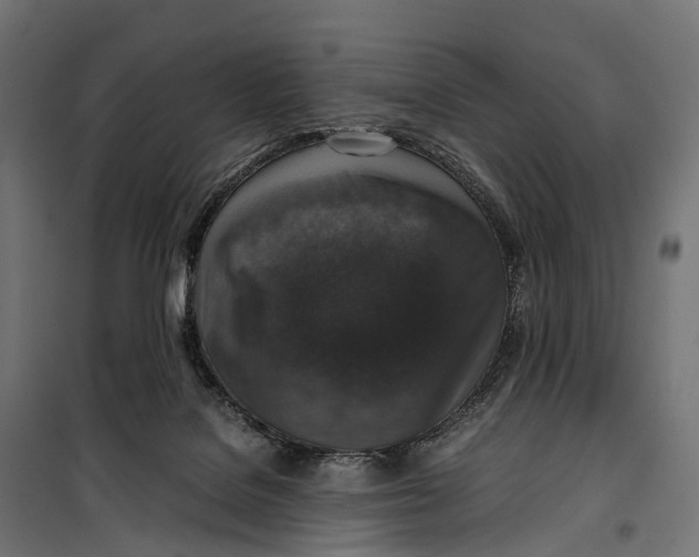 X0000099990076200806201500