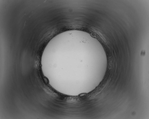 X0000099990077200806201500