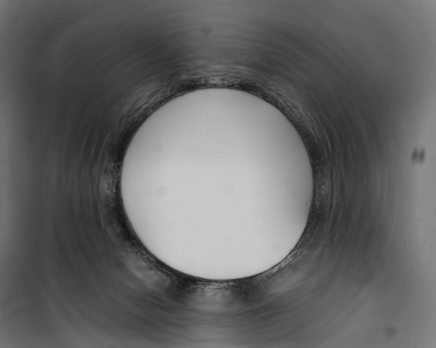 X0000099990078200806201500