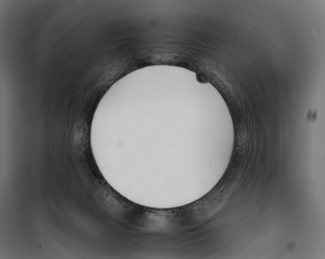 X0000099990079200806201500