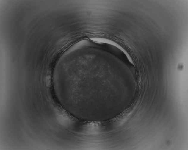 X0000099990080200806201500