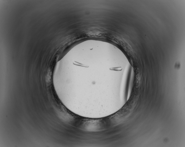 X0000099990081200806201500