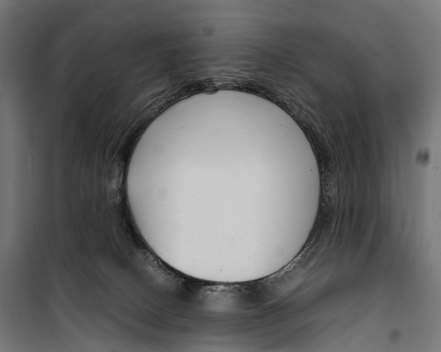 X0000099990082200806201500