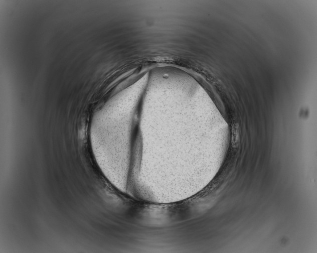 X0000099990084200806201500