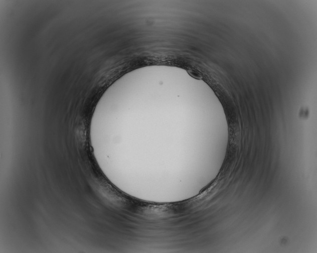 X0000099990086200806201500