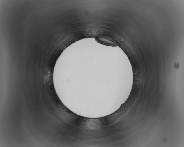 X0000099990087200806201500