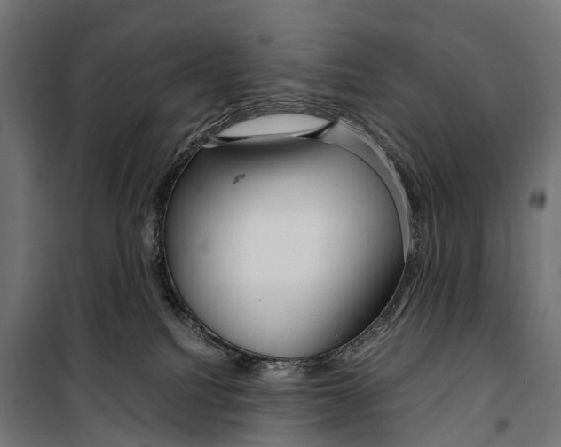 X0000099990088200806201500