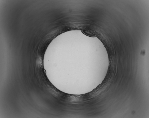 X0000099990089200806201500