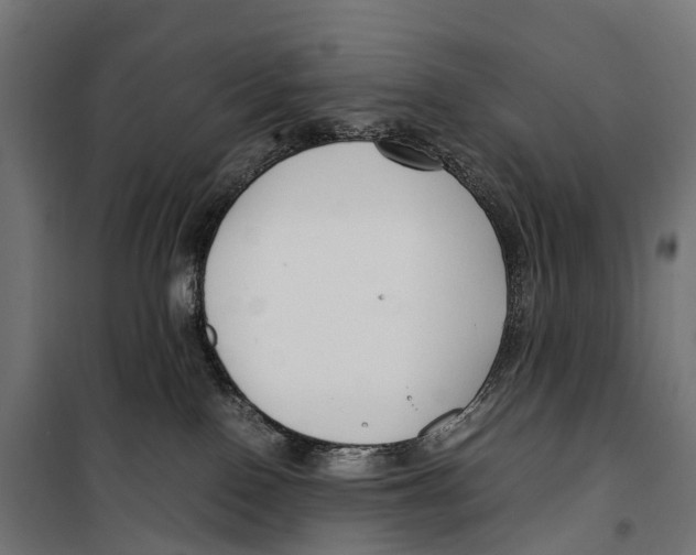 X0000099990090200806201500