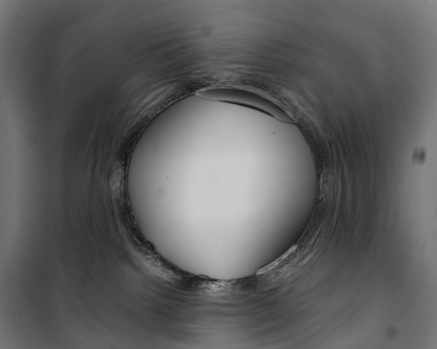 X0000099990092200806201500