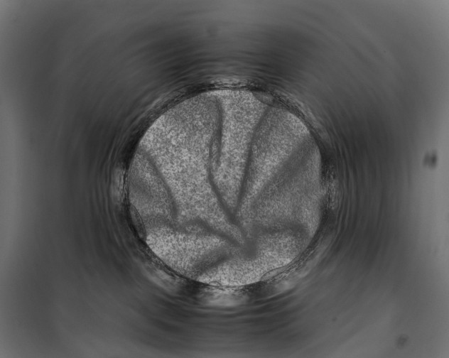 X0000099990093200806201500