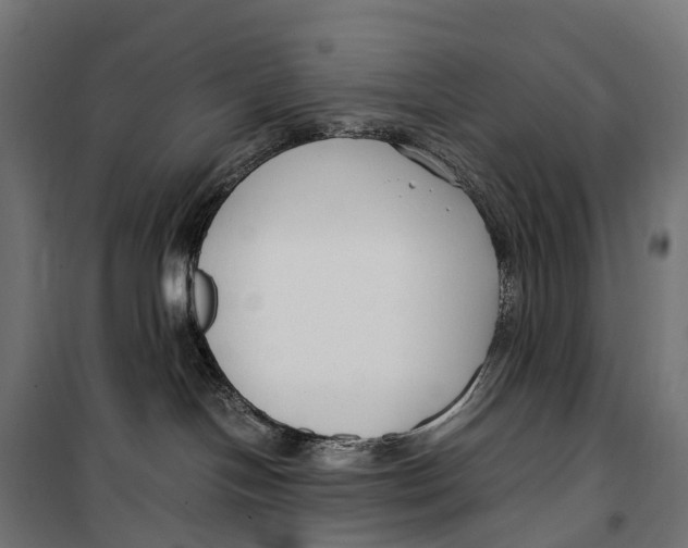 X0000099990094200806201500