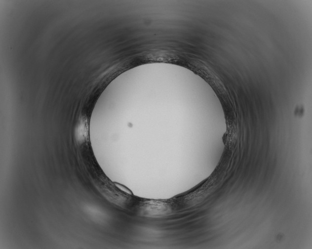 X0000099990095200806201500