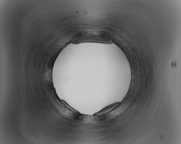 X0000099990096200806201500