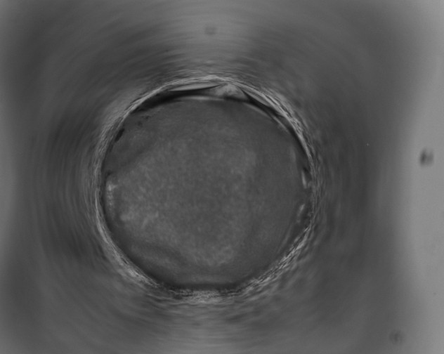 X0000099990097200806201459