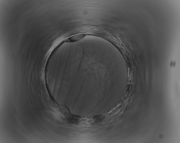 X0000099990099200806201459