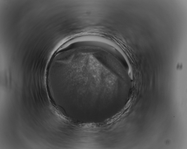 X0000099990100200806201459