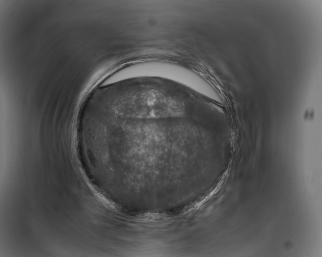 X0000099990101200806201459