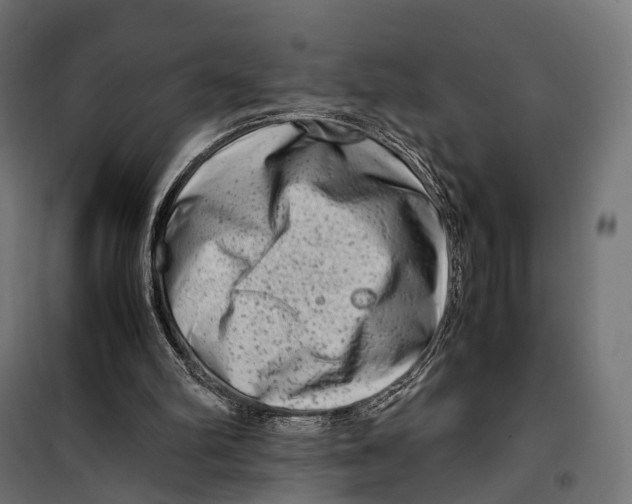 X0000099990102200806201459