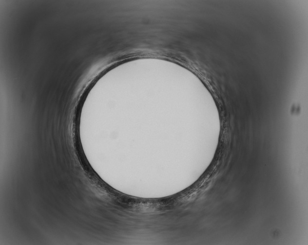 X0000099990103200806201459