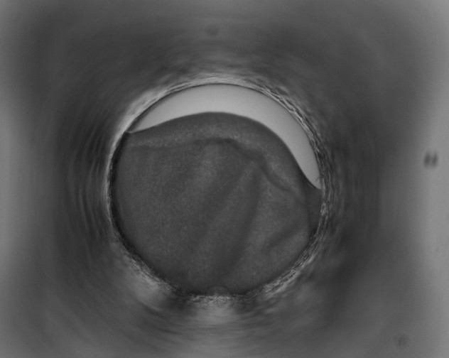 X0000099990104200806201459