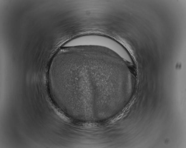 X0000099990105200806201459