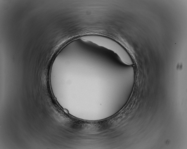 X0000099990107200806201459