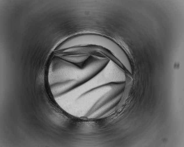 X0000099990108200806201459