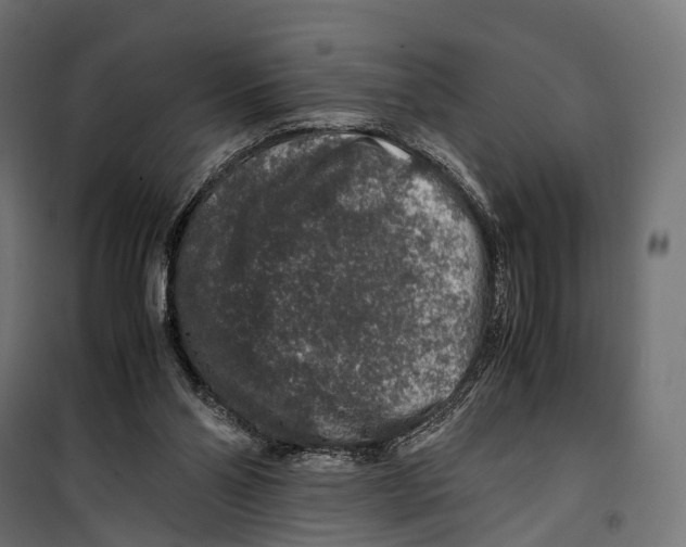 X0000099990110200806201459