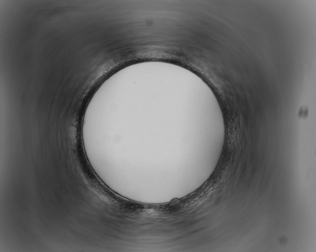 X0000099990111200806201459