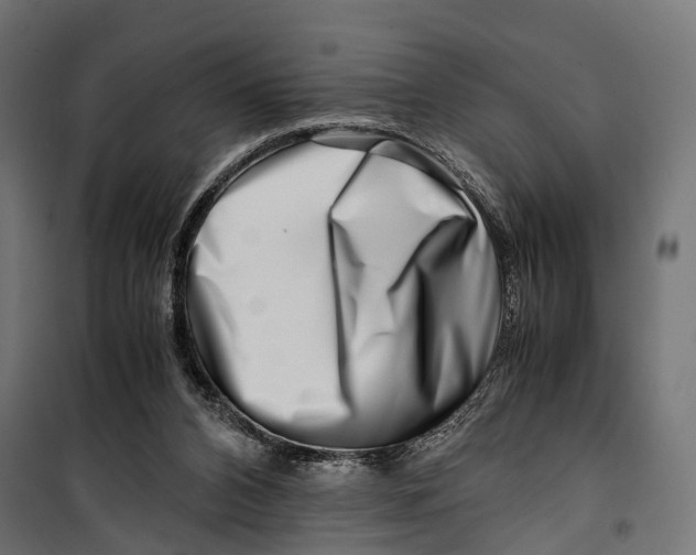 X0000099990112200806201459