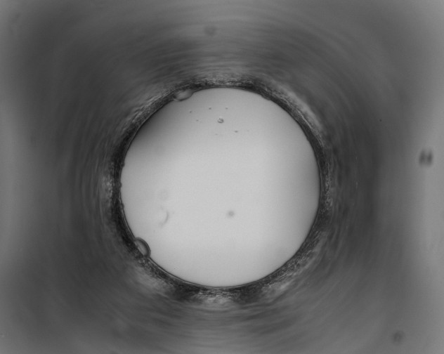 X0000099990113200806201459