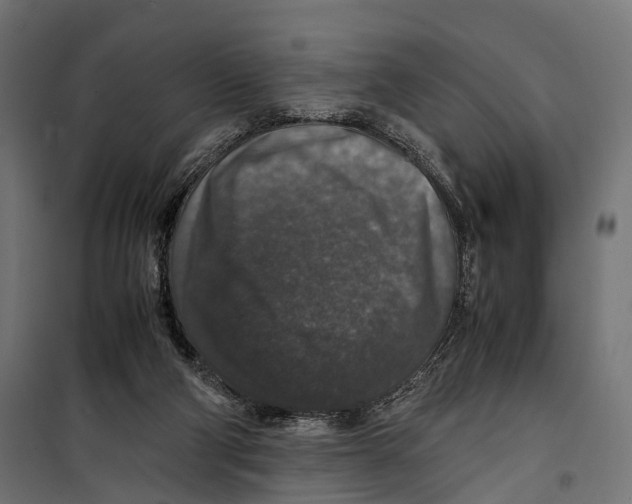 X0000099990114200806201459