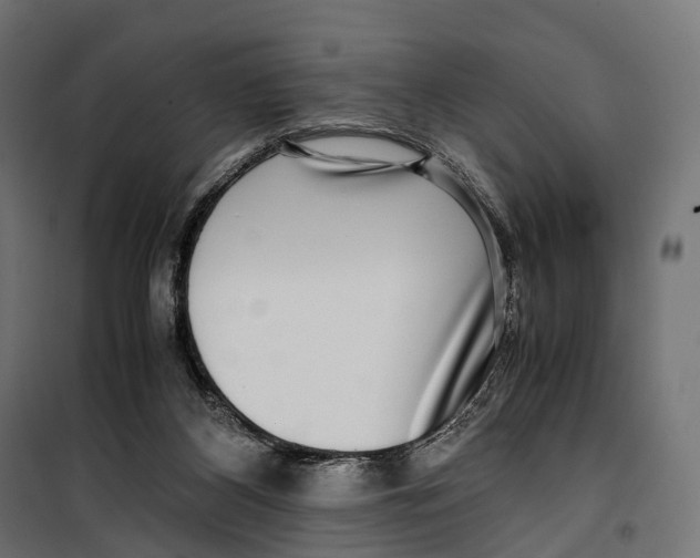 X0000099990116200806201459