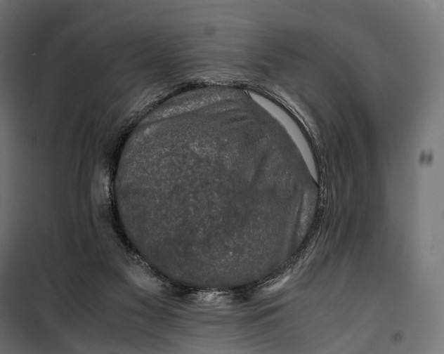 X0000099990117200806201459