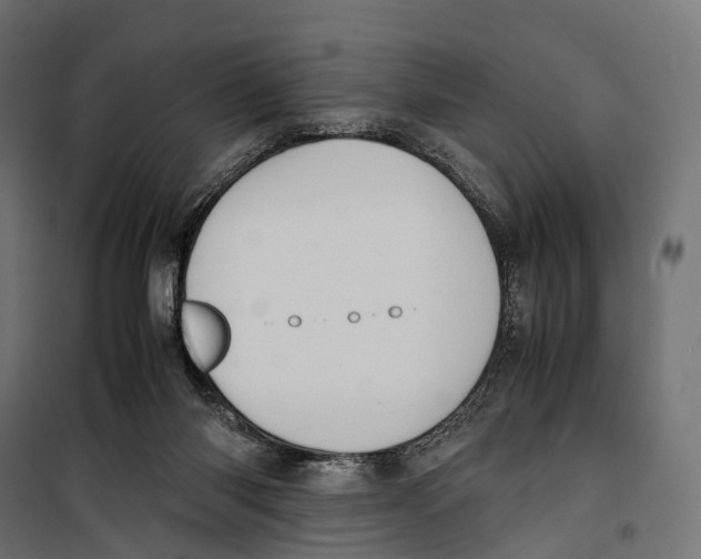 X0000099990118200806201459