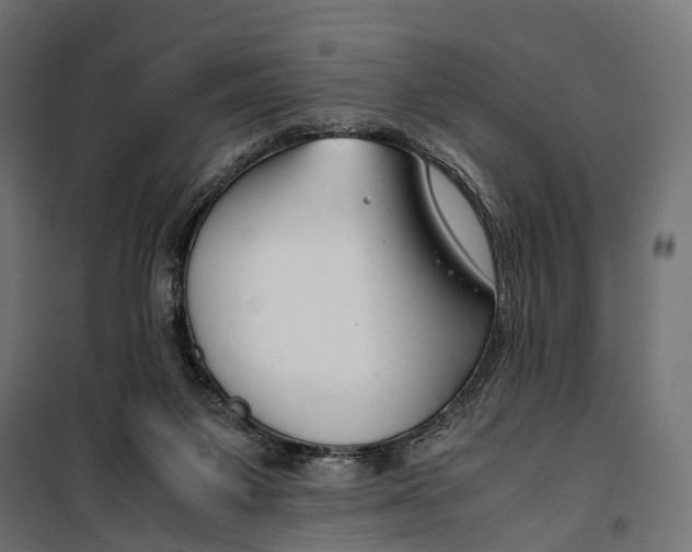 X0000099990119200806201459